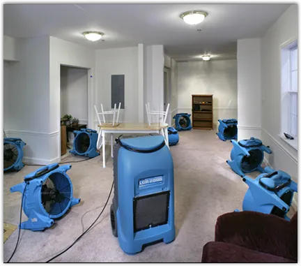 Water Damage Restoration services in Shoreline, WA