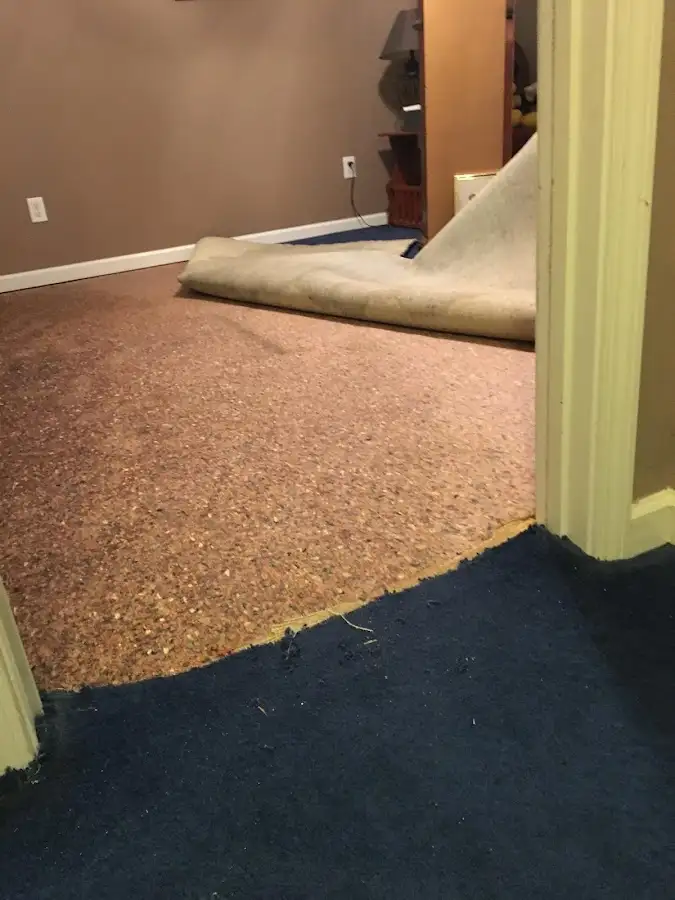 Carpet pad removal revealing water damage during Drying & Dehumidification in Shoreline